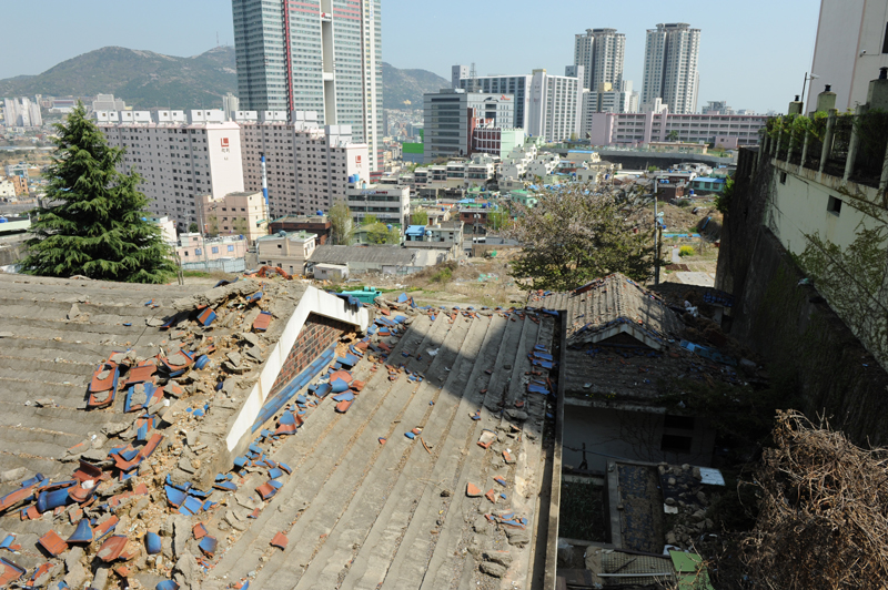 도시계획심사를 위한 현장확인 4번째