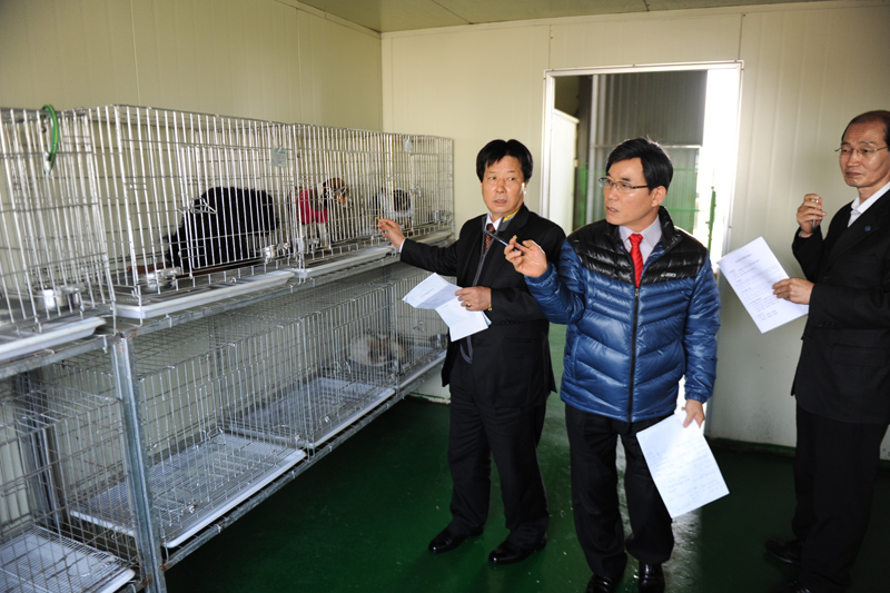 건축물 공개녹지와 유기견 실태점검 5번째