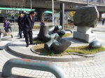 건축물 공개녹지와 유기견 실태점검 2번째
